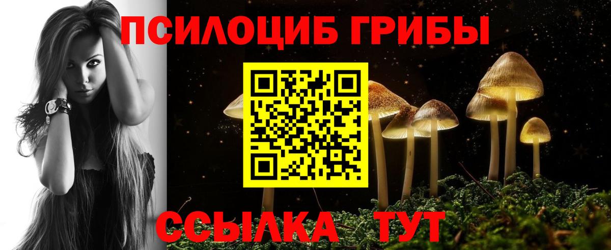 Псилоцибиновые грибы MAGIC MUSHROOMS Ачхой-Мартан